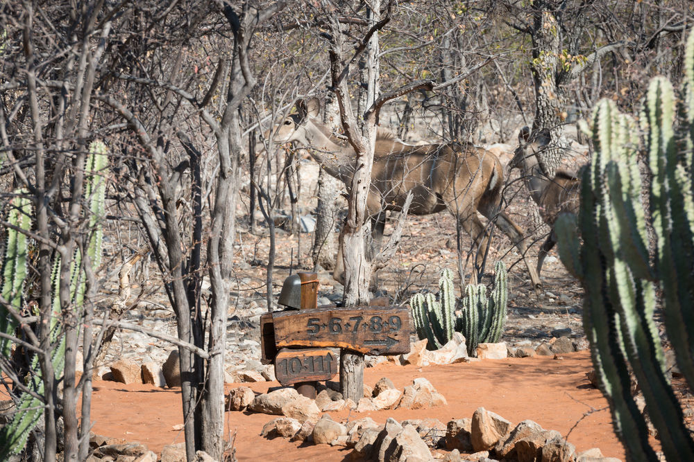 Ongava Tented Camp - All-Inclusive Okaukuejo Exterior photo