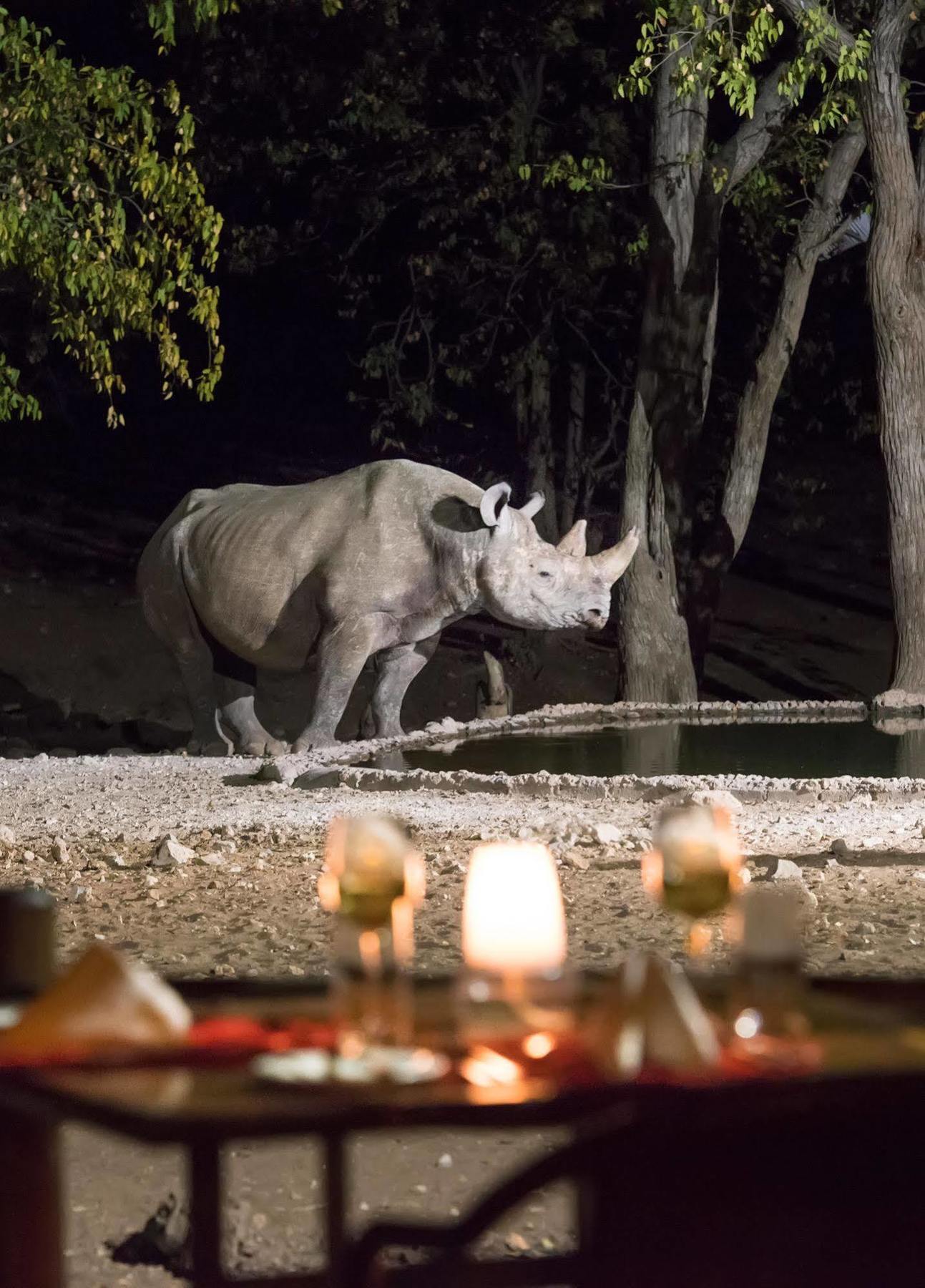 Ongava Tented Camp - All-Inclusive Okaukuejo Exterior photo