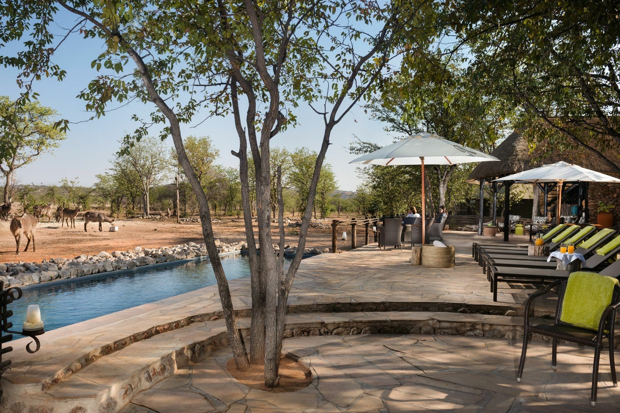 Ongava Tented Camp - All-Inclusive Okaukuejo Exterior photo