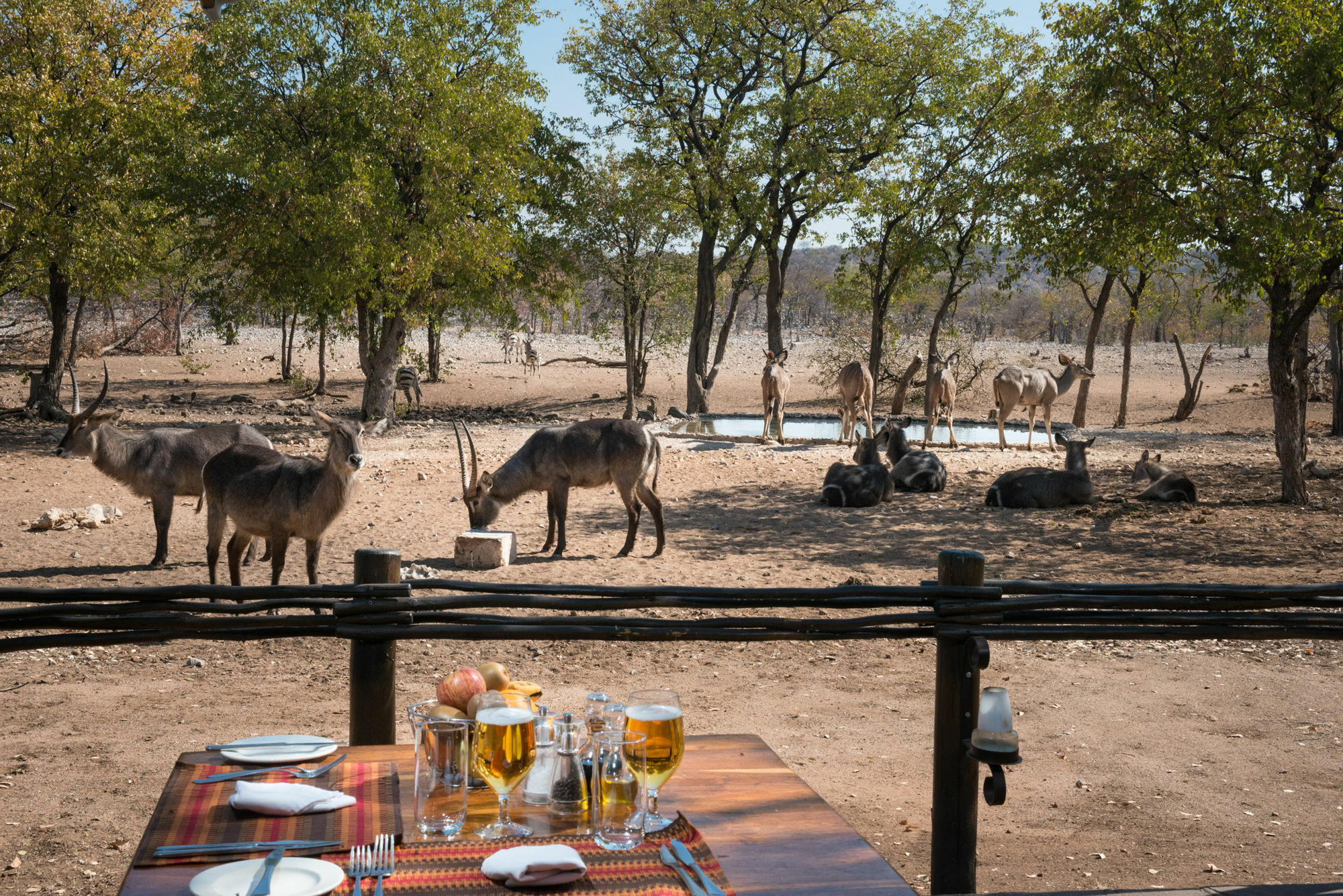 Ongava Tented Camp - All-Inclusive Okaukuejo Exterior photo